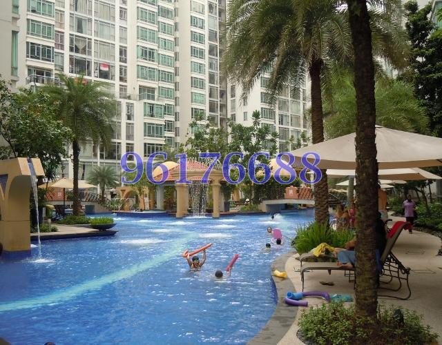 The Lakeshore thumbnail photo